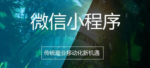 小程序定制向用户开放公测