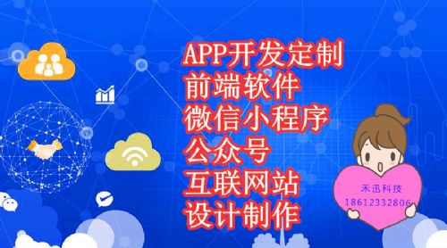 定制软件开发禾迅科技多功能开发 互联网系统