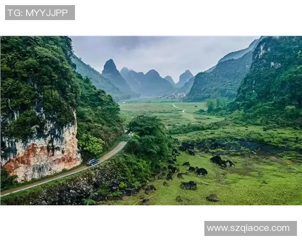 探索埃斯特旺的魅力与历史：一场文化与自然的完美融合之旅