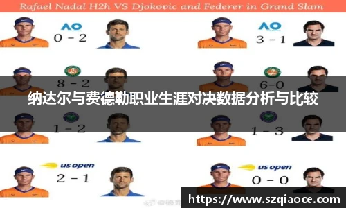 纳达尔与费德勒职业生涯对决数据分析与比较