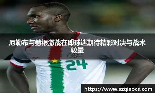 厄勒布与赫根激战在即球迷期待精彩对决与战术较量